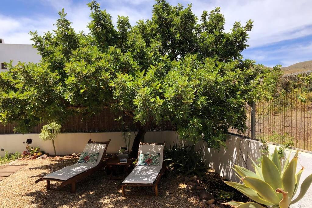 Вилла Casa Granado En Cabo De Gata Родалькилар Экстерьер фото