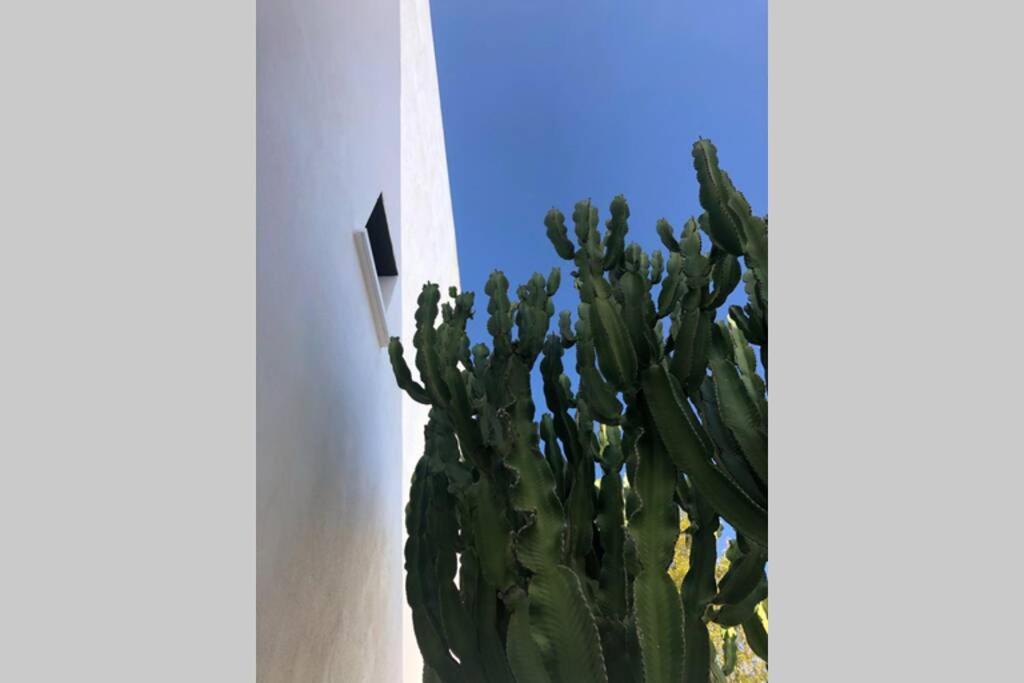 Вилла Casa Granado En Cabo De Gata Родалькилар Экстерьер фото